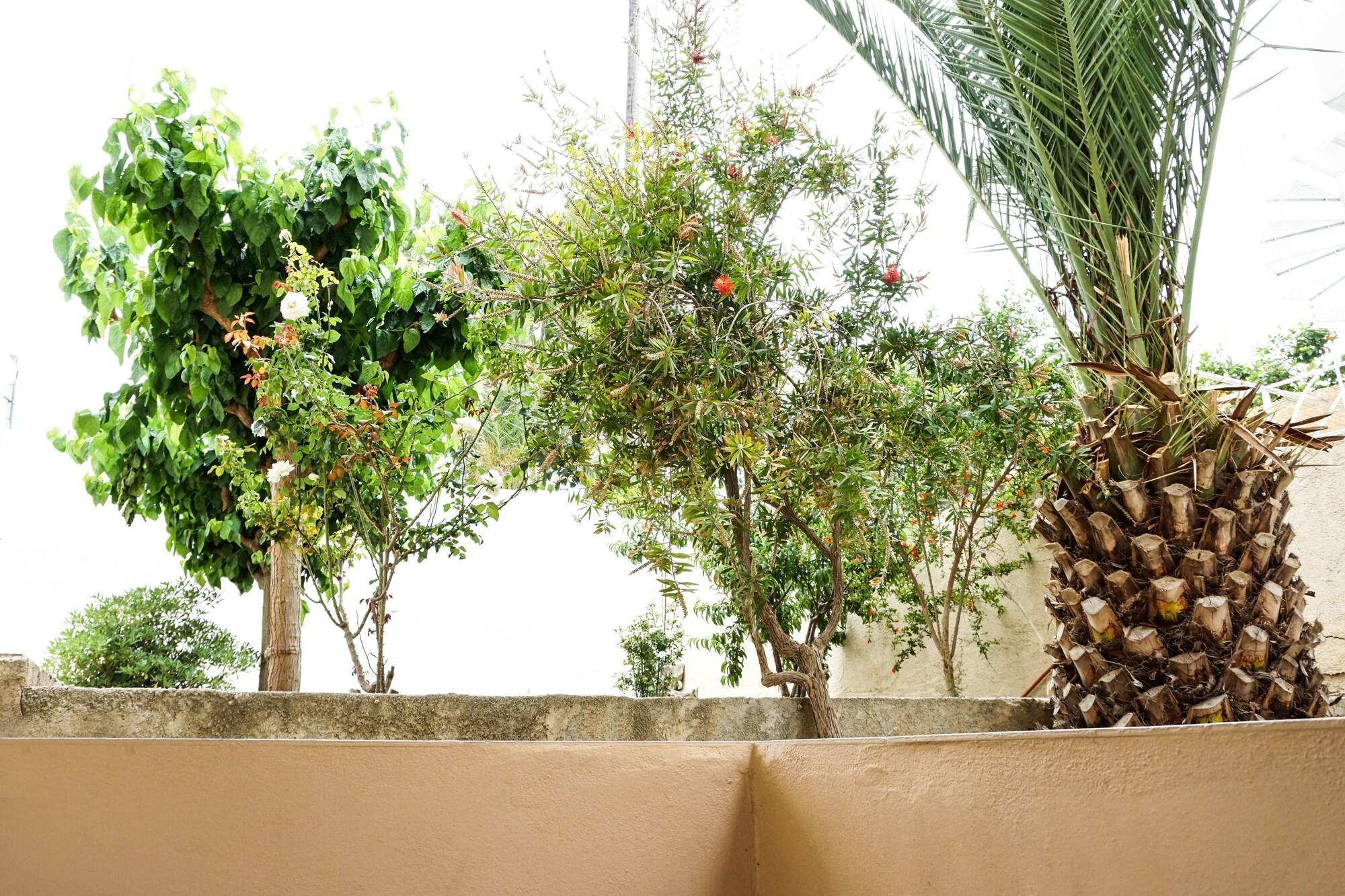 Dioni Hotel Adelianos Kampos Luaran gambar